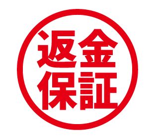 フィンジア 評判 半年